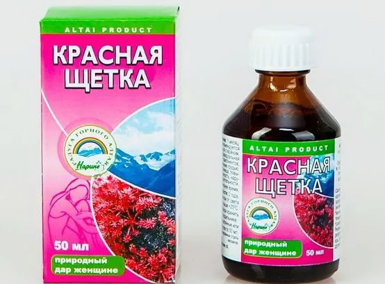 Красная щетка при сахарном диабете: полезные свойства растения