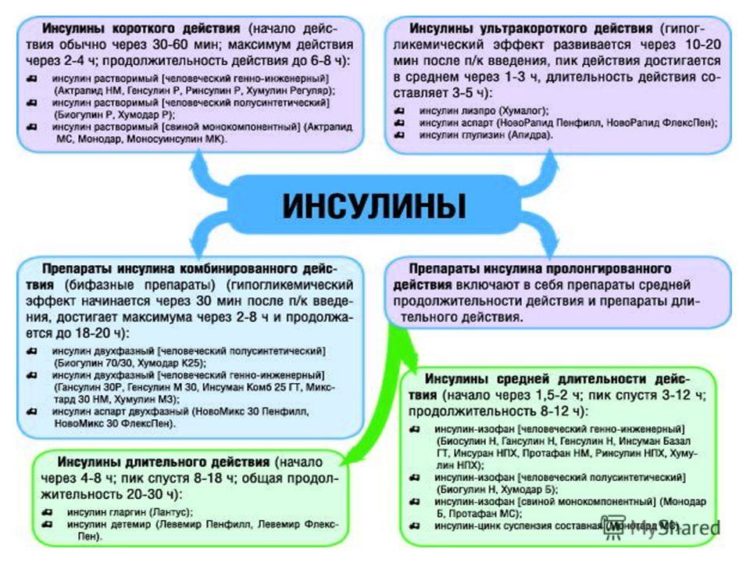 Принципы применения инсулина короткого действия и инсулина длительного действия Принципы применения инсулина короткого действия и инсулина длительного действия
