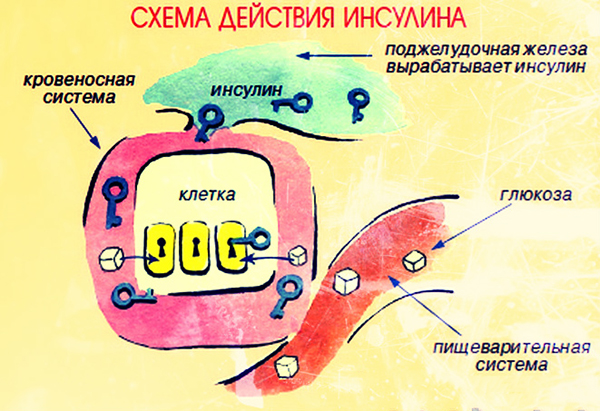 Первые признаки сахарного диабета