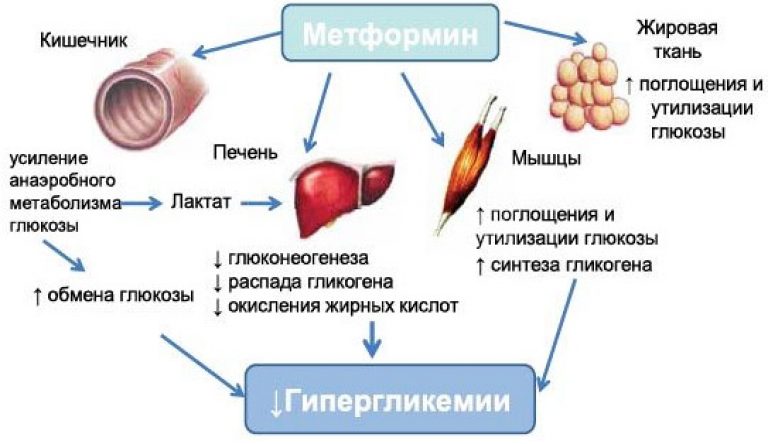 Показания к применению препарата Метформин