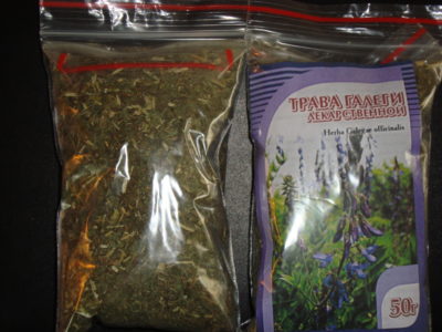 Козлятник лекарственный при сахарном диабете