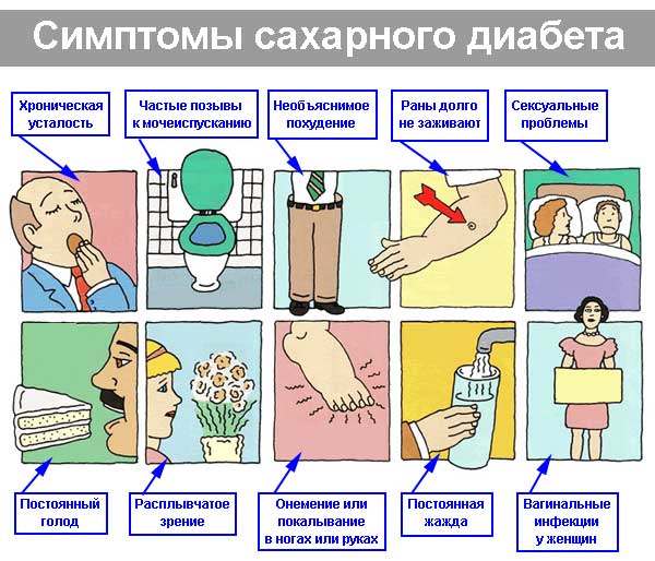 Расшифровка результатов биохимии крови на глюкозу