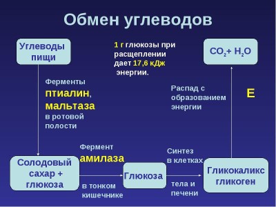 Норма уровня сахара в крови у детей