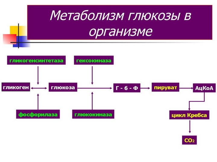 Нормальный уровень глюкозы в крови