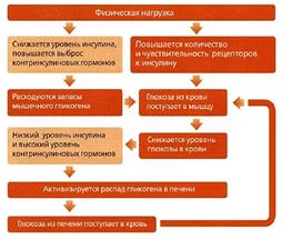 Гимнастика при диабете 2 типа: уроки для домашних занятий, видео
