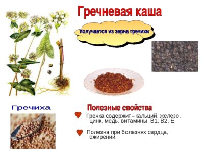 Гречка при сахарном диабете: можно ли есть?